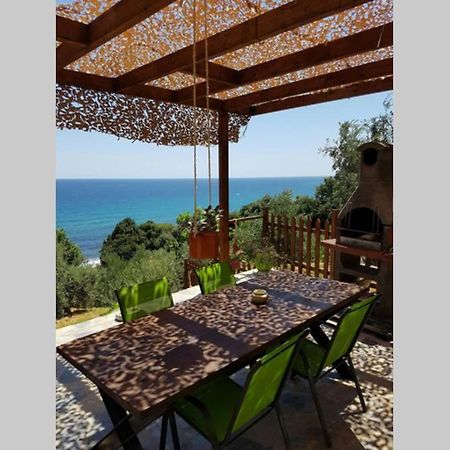 Lost Paradise Χορευτό Εξωτερικό φωτογραφία