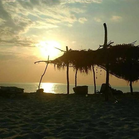 Lost Paradise Χορευτό Εξωτερικό φωτογραφία