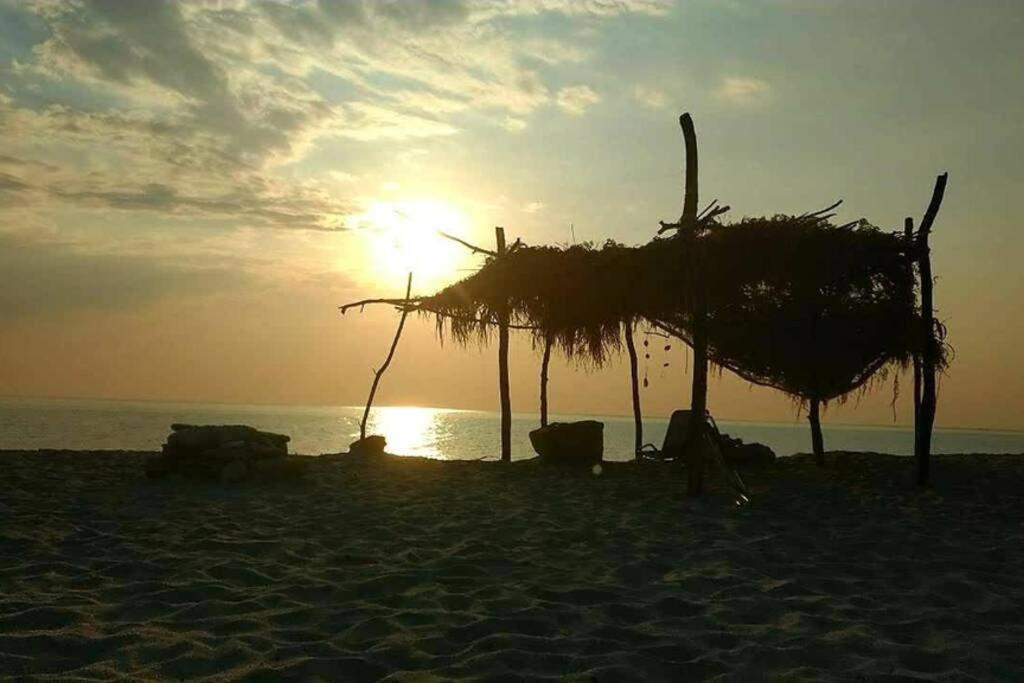 Lost Paradise Χορευτό Εξωτερικό φωτογραφία