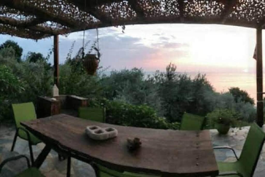 Lost Paradise Χορευτό Εξωτερικό φωτογραφία