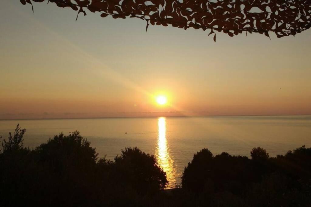 Lost Paradise Χορευτό Εξωτερικό φωτογραφία