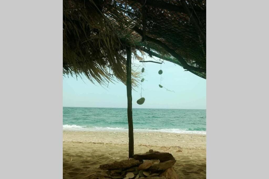 Lost Paradise Χορευτό Εξωτερικό φωτογραφία