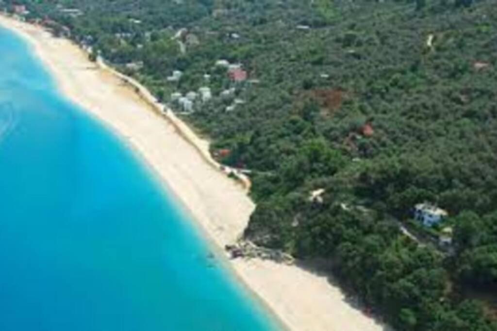 Lost Paradise Χορευτό Εξωτερικό φωτογραφία