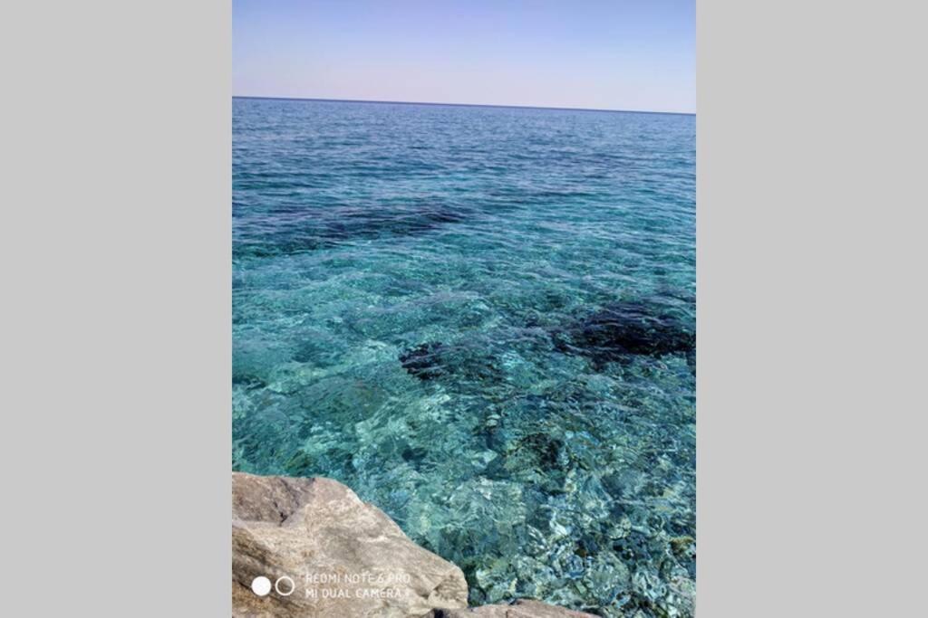 Lost Paradise Χορευτό Εξωτερικό φωτογραφία