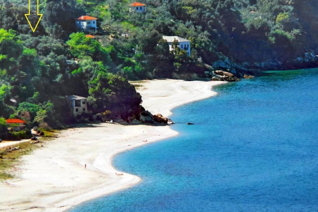 Lost Paradise Χορευτό Εξωτερικό φωτογραφία